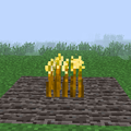 Barley (Mature).png