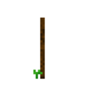 Tomato (2).png