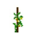 Tomato (6).png