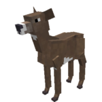 Doe.png