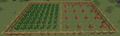 Thumbnail for version as of 05:25, 26 September 2013