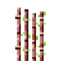 Thumbnail for version as of 19:55, 18 September 2020