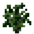 Thumbnail for version as of 03:59, 9 June 2015
