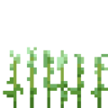 Flax (3).png