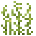 Pond Weed.png