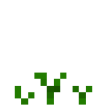 Carrots (2).png