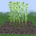 Thumbnail for version as of 13:12, 17 April 2014