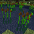 Thumbnail for version as of 01:44, 23 April 2015