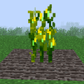 Maize (Mature).png
