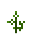 Soybean (3).png