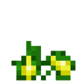 Squash (7).png