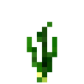 Onion (6).png