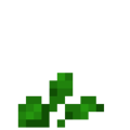 Squash (3).png