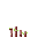 Thumbnail for version as of 19:54, 18 September 2020