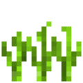 Rice (6).png
