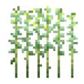 Jute (6).png
