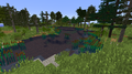Thumbnail for version as of 22:17, 24 November 2021