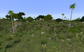Thumbnail for version as of 23:14, 21 January 2021