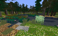 Biome Swamp Plus.png