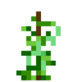Greenbean (6).png