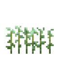 Jute (3).png