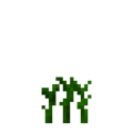 Corn (4).png