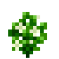 PepperYellow (5).png