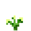Potato (6).png