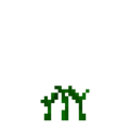 Corn (3).png