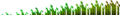 Wheat (Phases).png