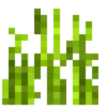 Oat (7).png