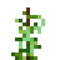 Black-Eyed Peas (6).png