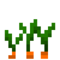 Carrots (5).png