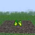 Squash (Mature).png