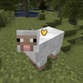 Thumbnail for version as of 23:46, 28 November 2014