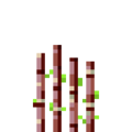 Thumbnail for version as of 19:55, 18 September 2020