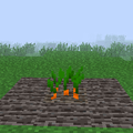 Carrot (Mature).png