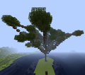 Acacia Tree.png