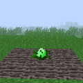 Cabbage (Mature).png