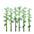 Jute (5).png