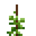 Black-Eyed Peas (4).png