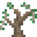 Thumbnail for version as of 12:19, 15 February 2021