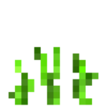 Oat (4).png