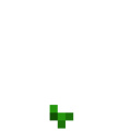 Squash (1).png