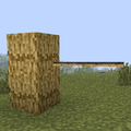Thumbnail for version as of 06:06, 21 May 2014