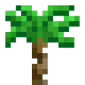 Thumbnail for version as of 03:40, 28 February 2020