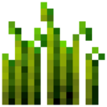 Wheat (7).png