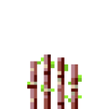 Thumbnail for version as of 19:55, 18 September 2020
