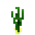 Onion (7).png