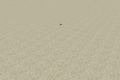 Thumbnail for version as of 12:57, 28 July 2020